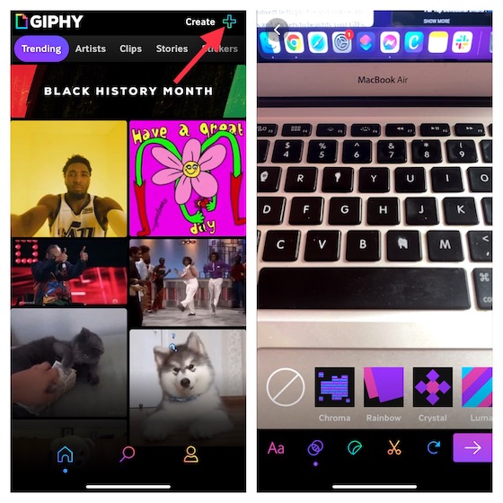 GIPHY