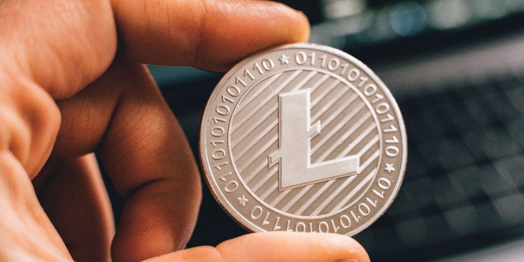 person holding litecoin