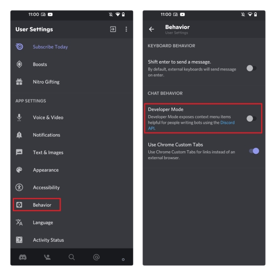 developer mode discord mobile